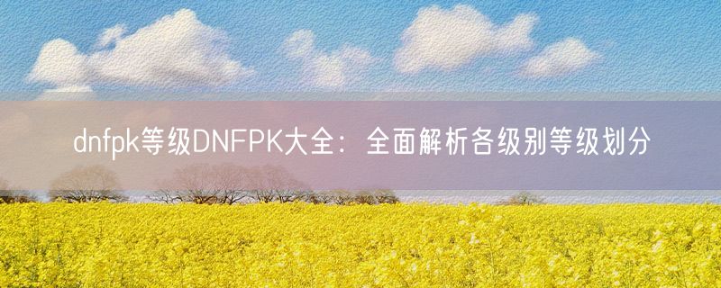 dnfpk等级DNFPK大全：全面解析各级别等级划分